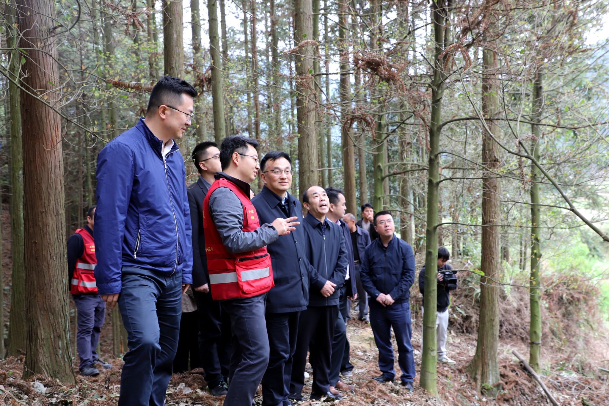 4808F01E6C13C106D48921B92F3_753FB130_86F6C.jpg 4808F01E6C13C106D48921B92F3_753FB130_86F6C.jpg