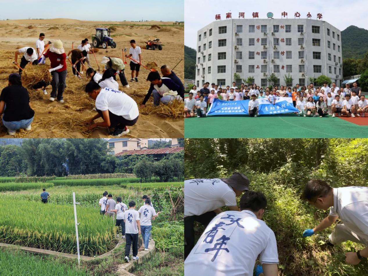 图片7.png 图片7.png