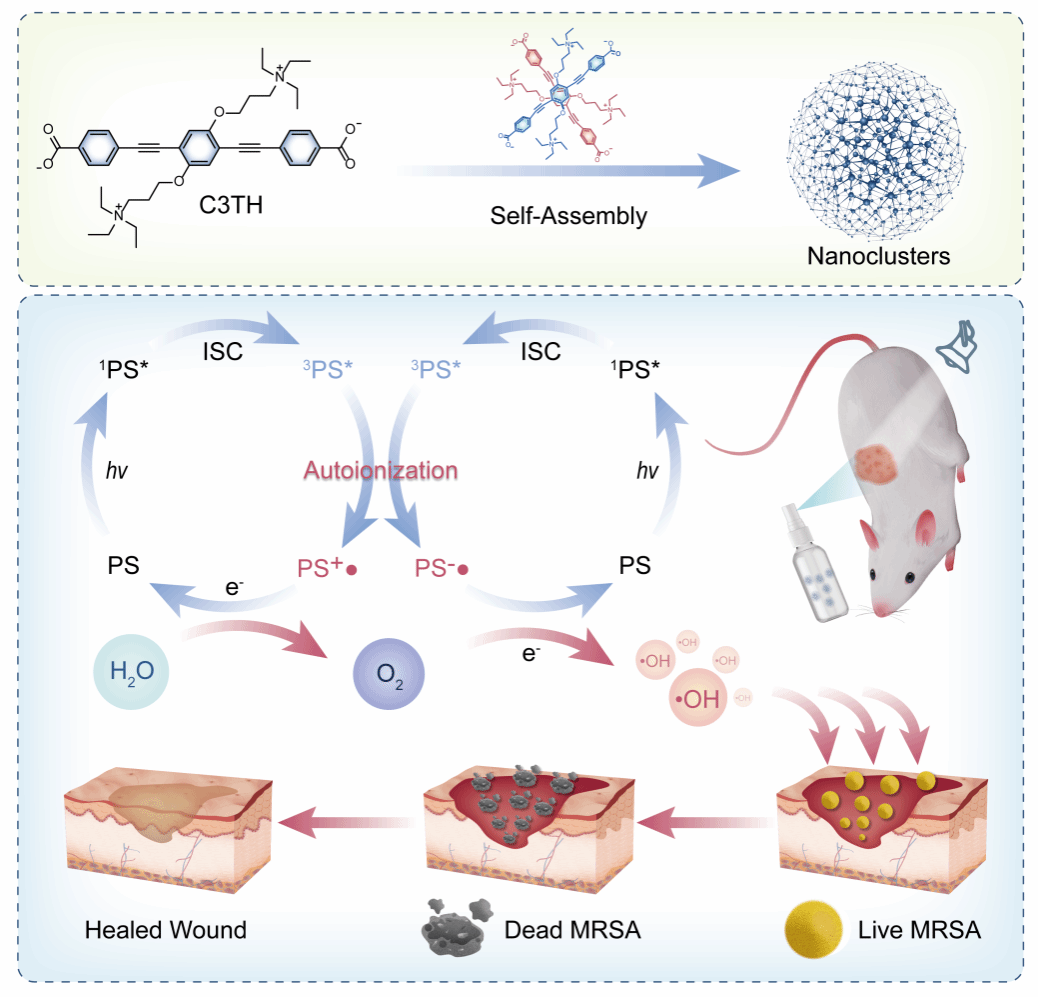 图片1.png 图片1.png